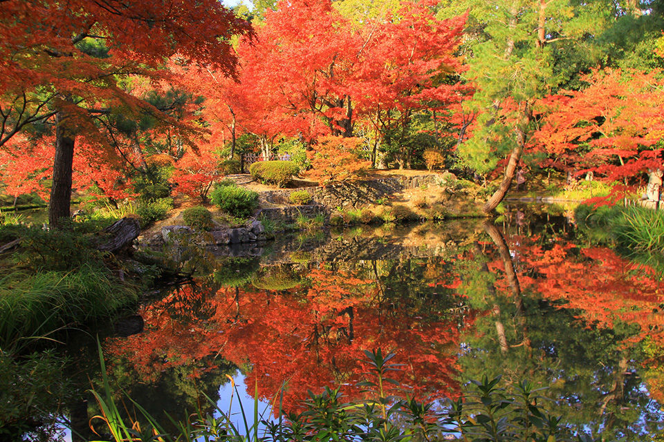 等持院 紅葉