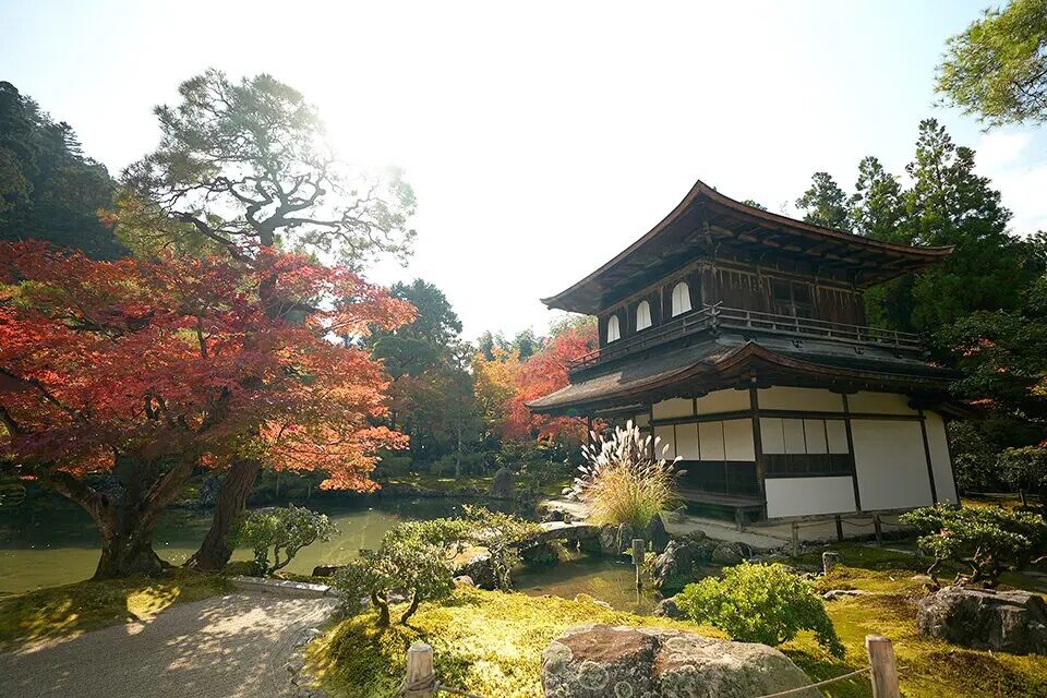 京都　銀閣寺　紅葉