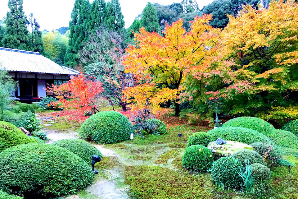 雲龍院 京都