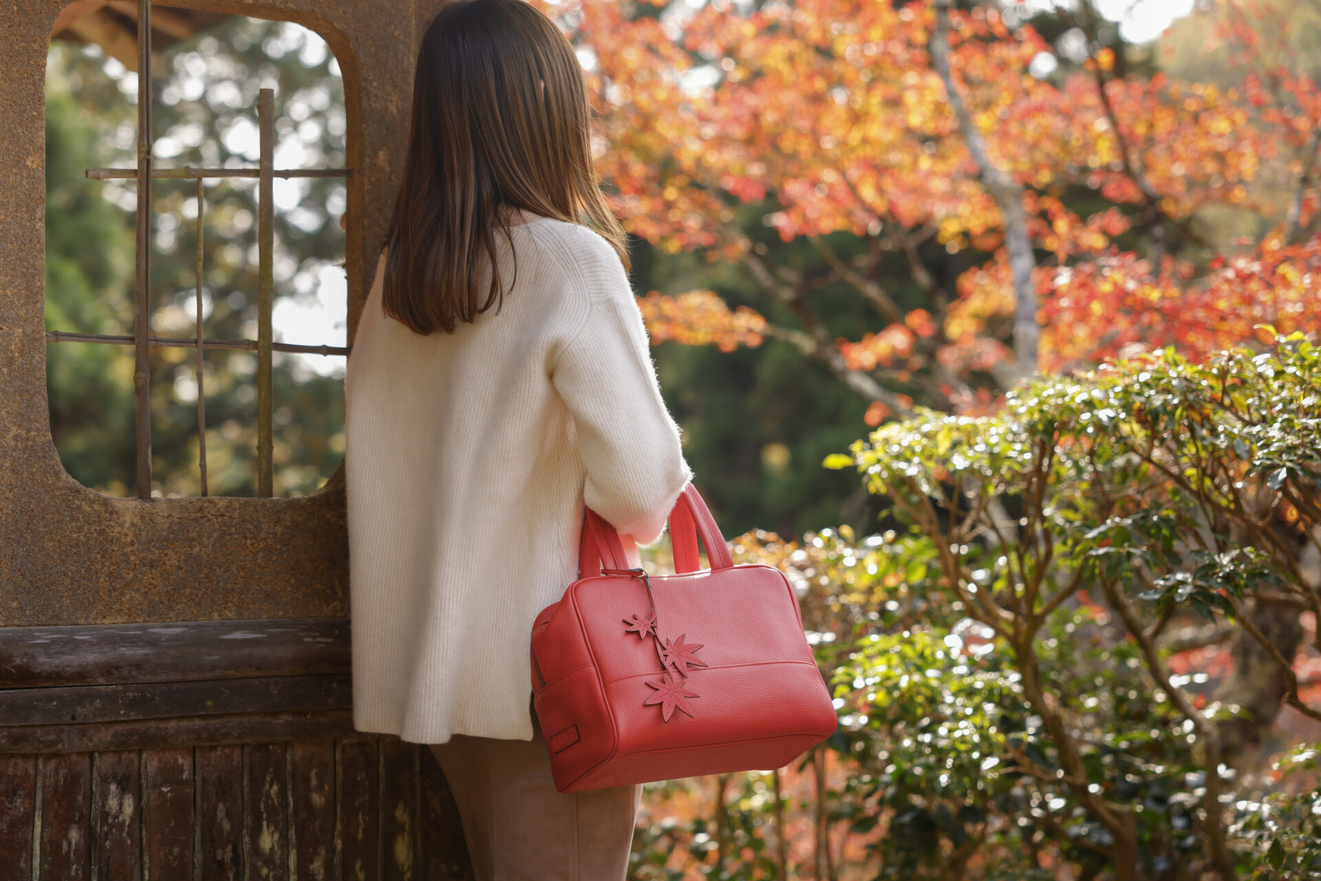 白龍園 紅葉 京都