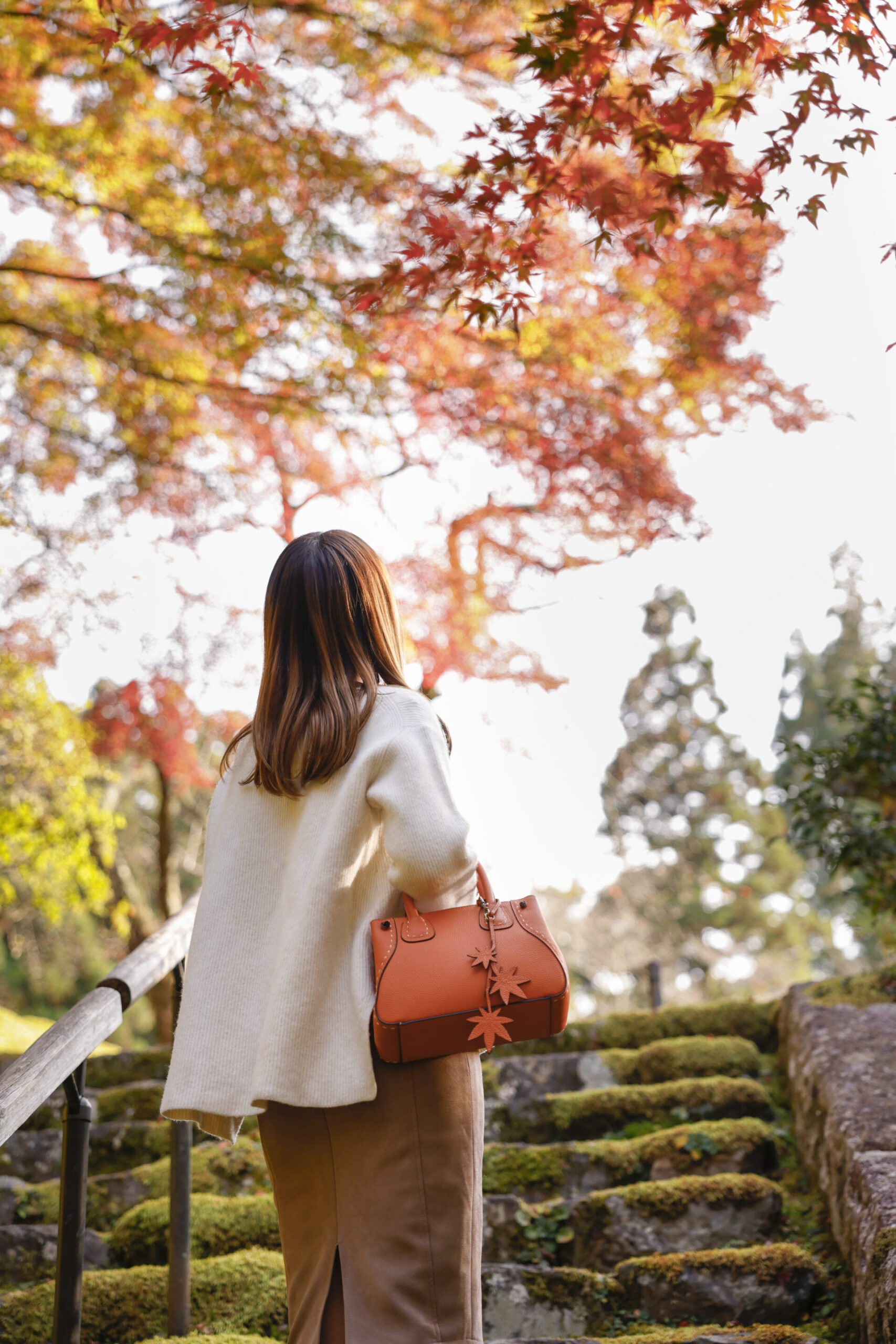 白龍園 紅葉 京都