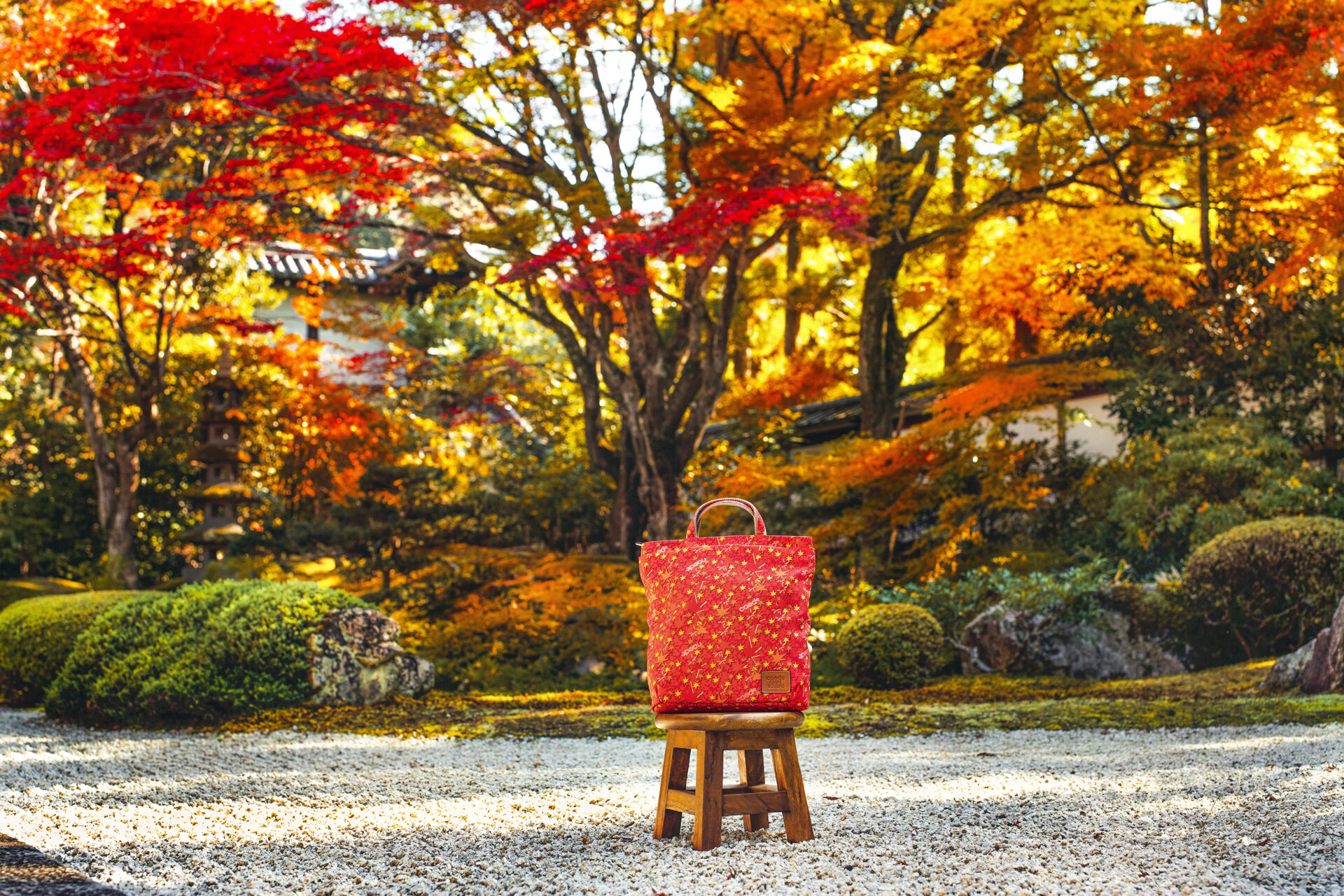 泉涌寺 紅葉 京都