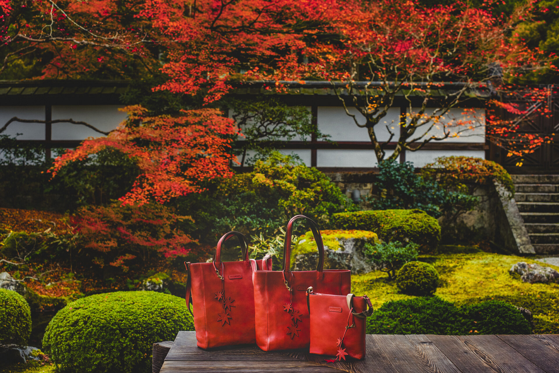 泉涌寺　京都 紅葉