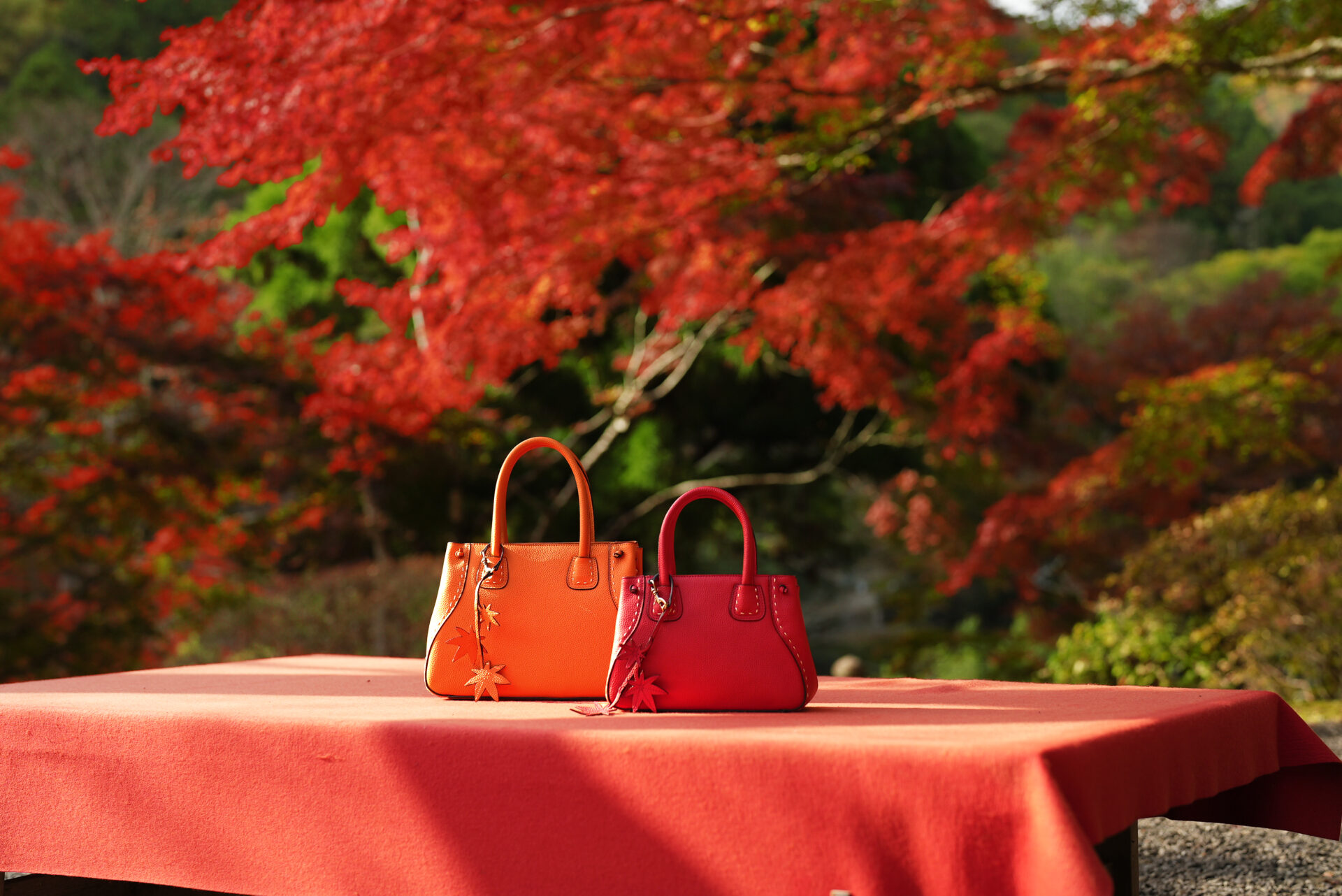 白龍園 紅葉 京都