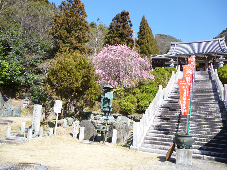 弘法市