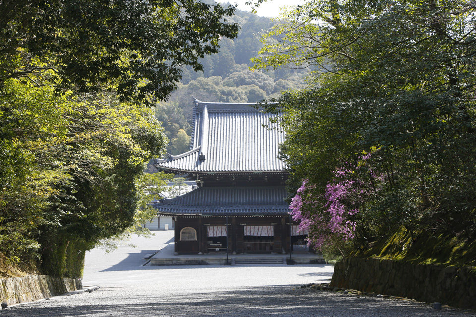 皇室の菩提寺・泉涌寺