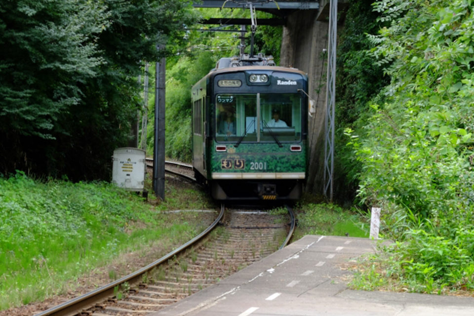 京都の街なかと嵐山を繋ぐ路線として知られる嵐電は、紅葉スポットの渡り歩きを可能にする強力なツールです