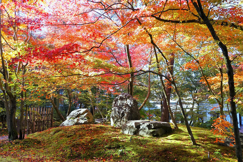 阪急沿線には紅葉の名所がたくさん！阪急沿線のおすすめの紅葉スポットをご紹介！