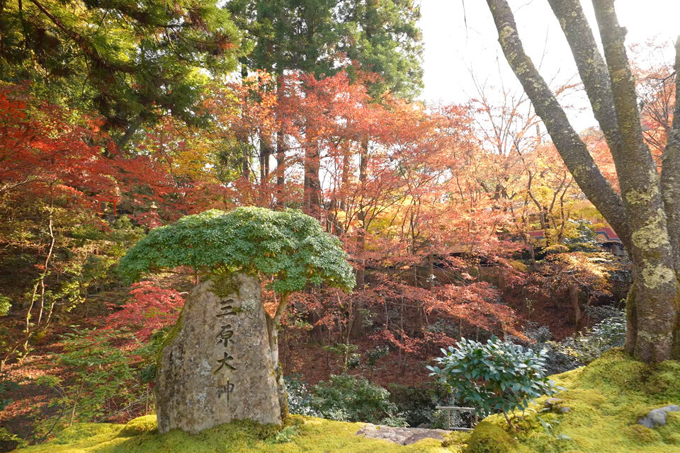 白龍園 紅葉 京都