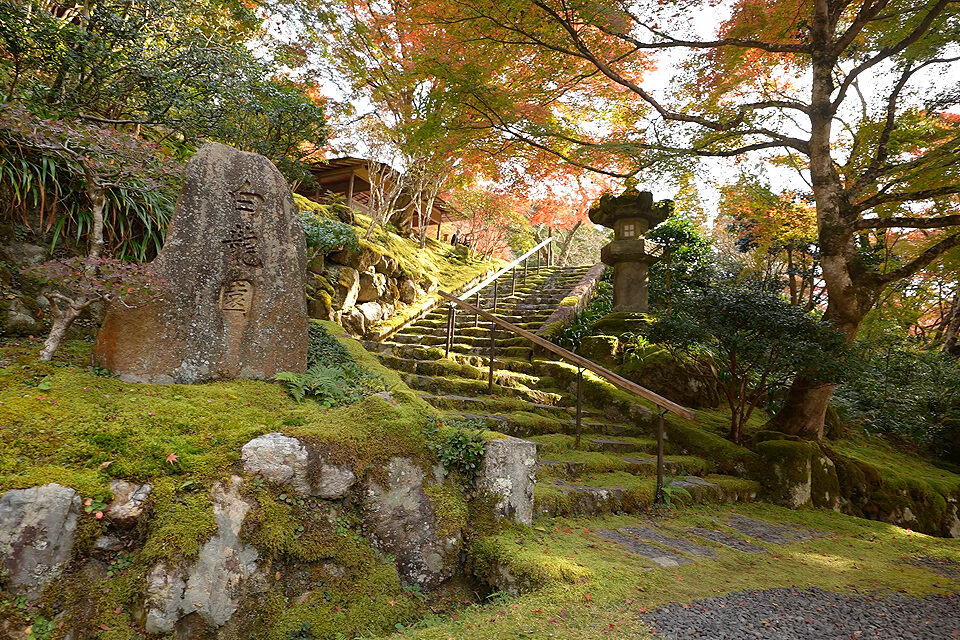 白龍園 紅葉 京都