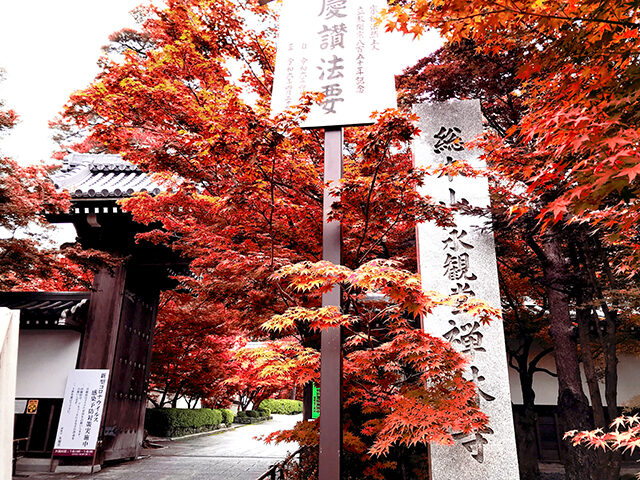 永観堂 紅葉 京都