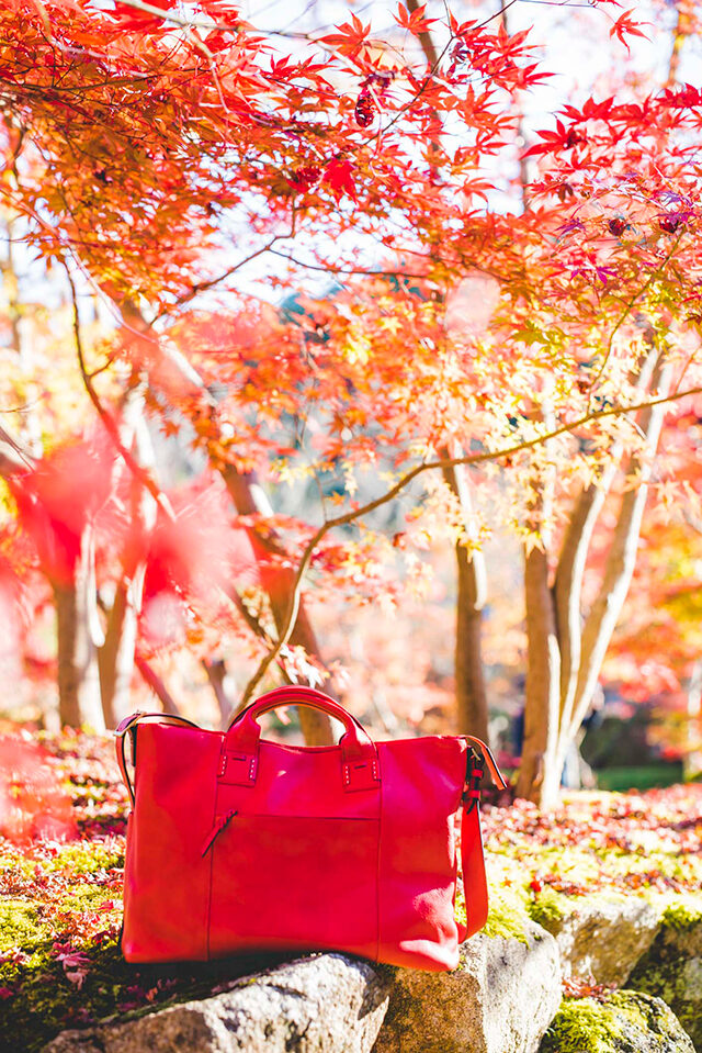 永観堂 紅葉 京都