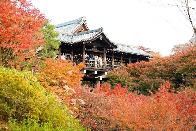 東福寺 紅葉 京都