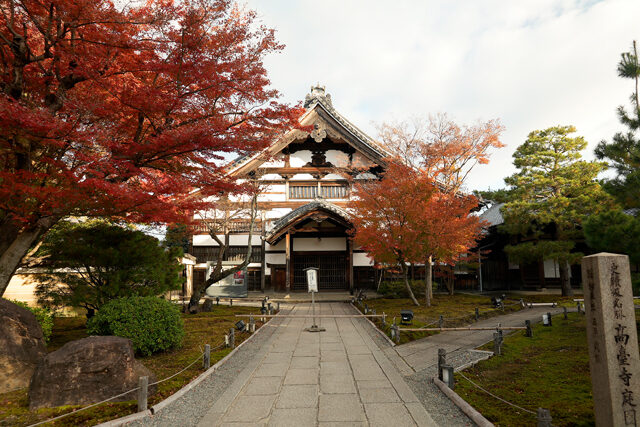 高台寺 紅葉 京都