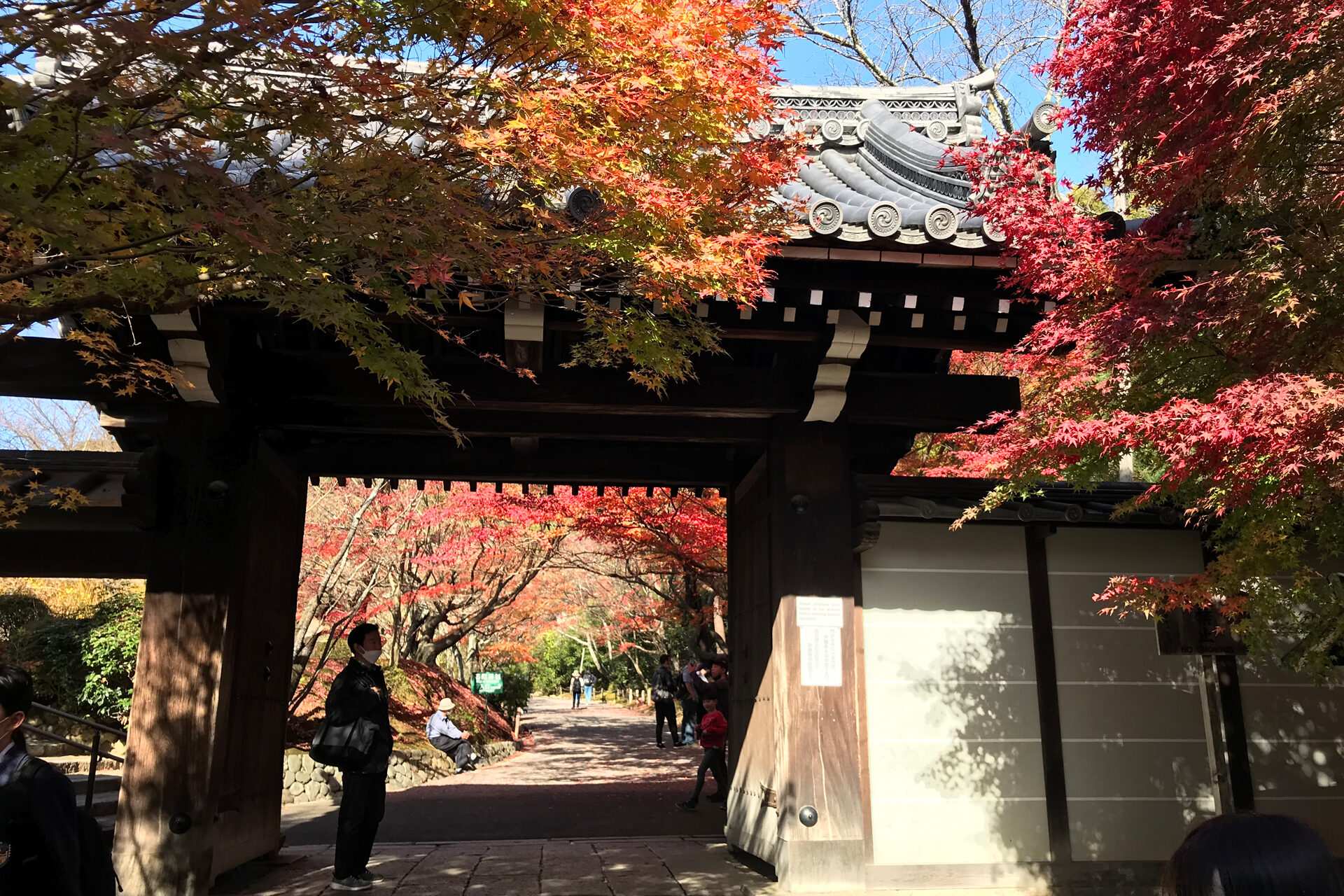 竜安寺 京都 紅葉