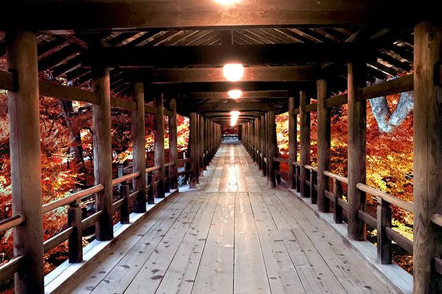 京都 東福寺通天橋 紅葉 ライトアップ