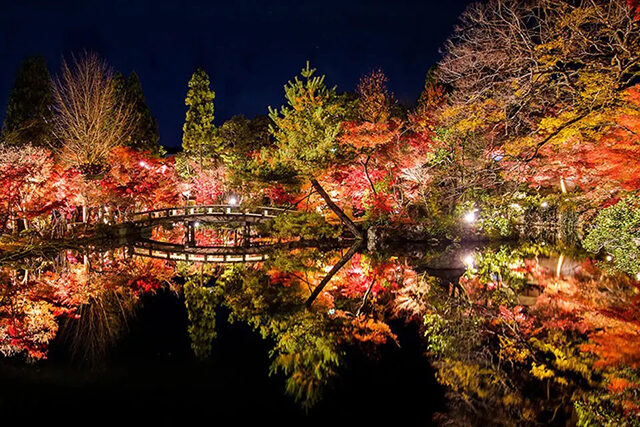 永観堂 ライトアップ 逆さ紅葉