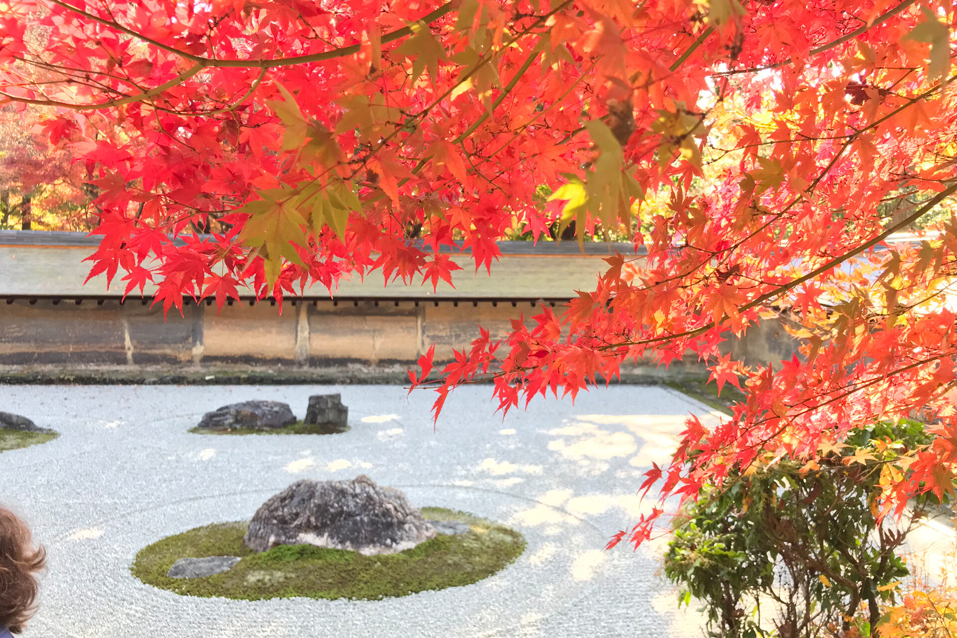 竜安寺 京都 紅葉