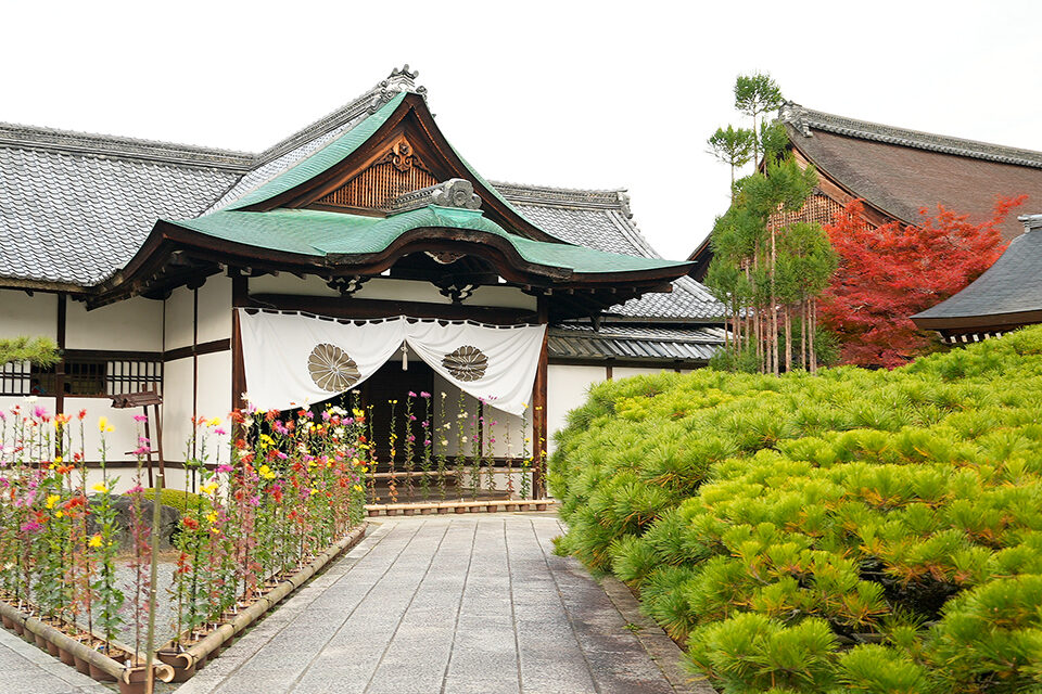 大覚寺 紅葉 京都