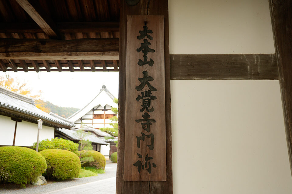 大覚寺 紅葉 京都