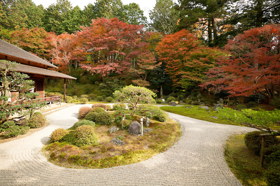曼殊院 京都 紅葉