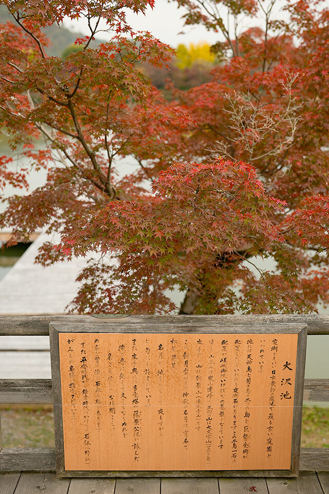 大覚寺 紅葉 京都