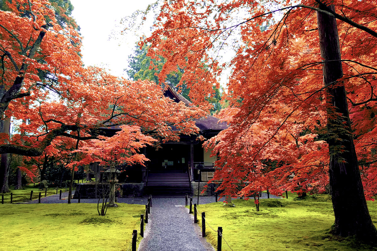 三千院 紅葉 京都