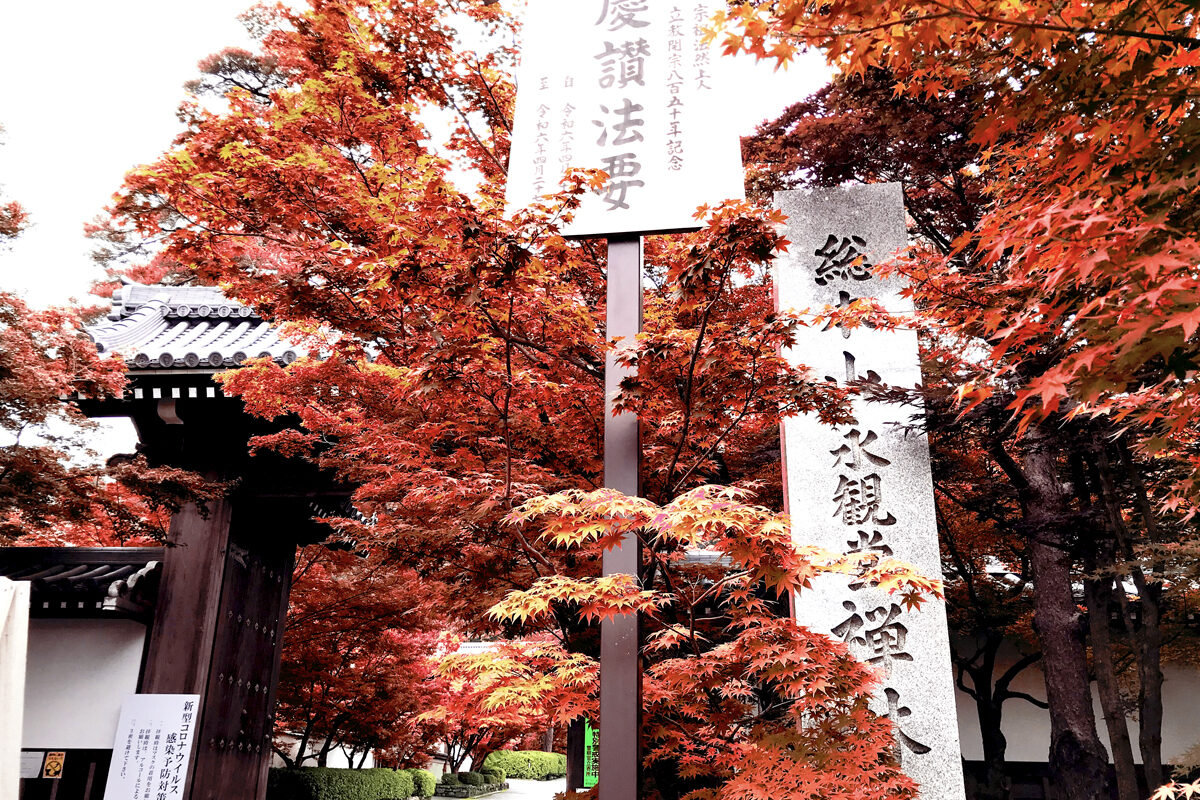 永観堂 紅葉 京都