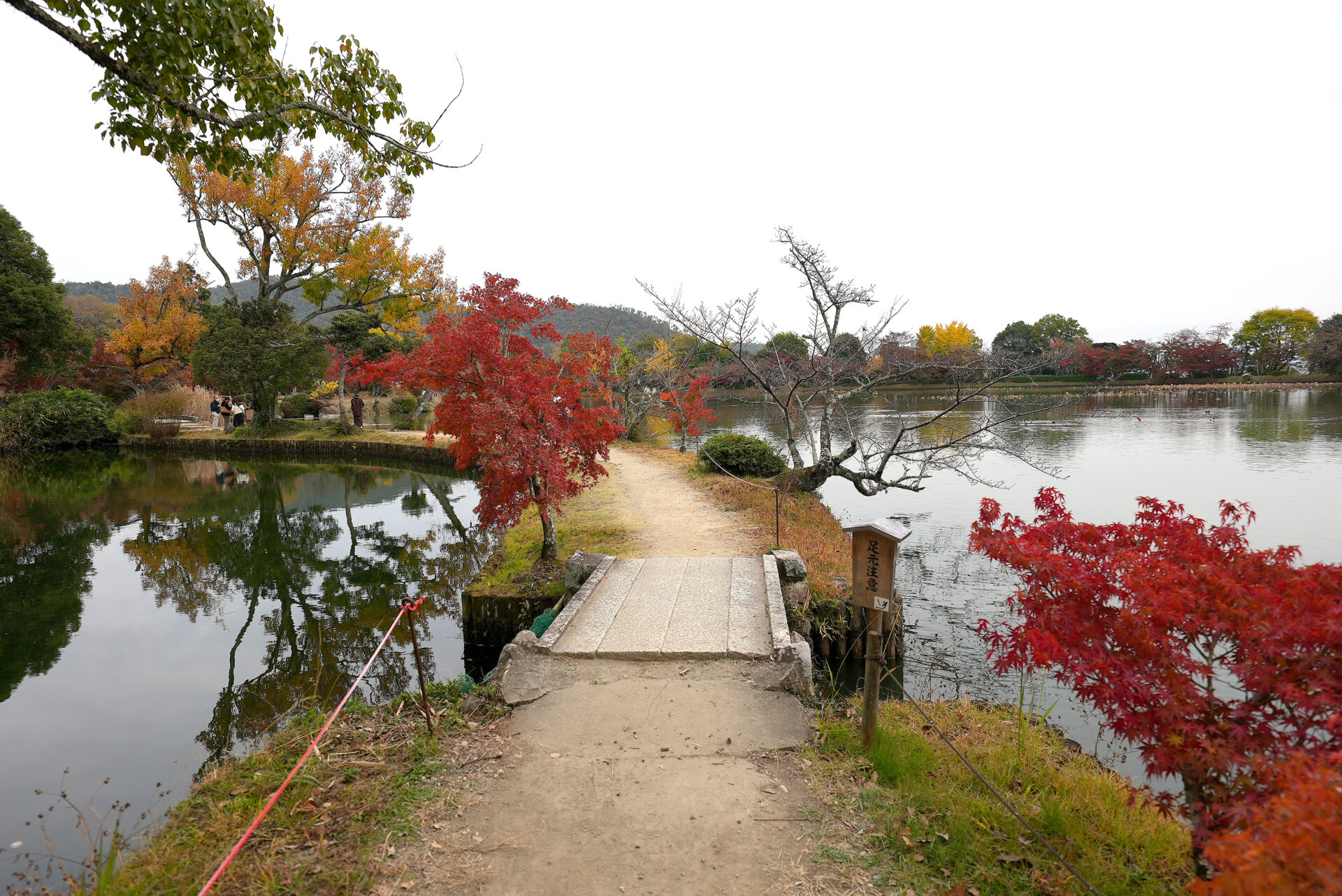 大覚寺 紅葉 京都