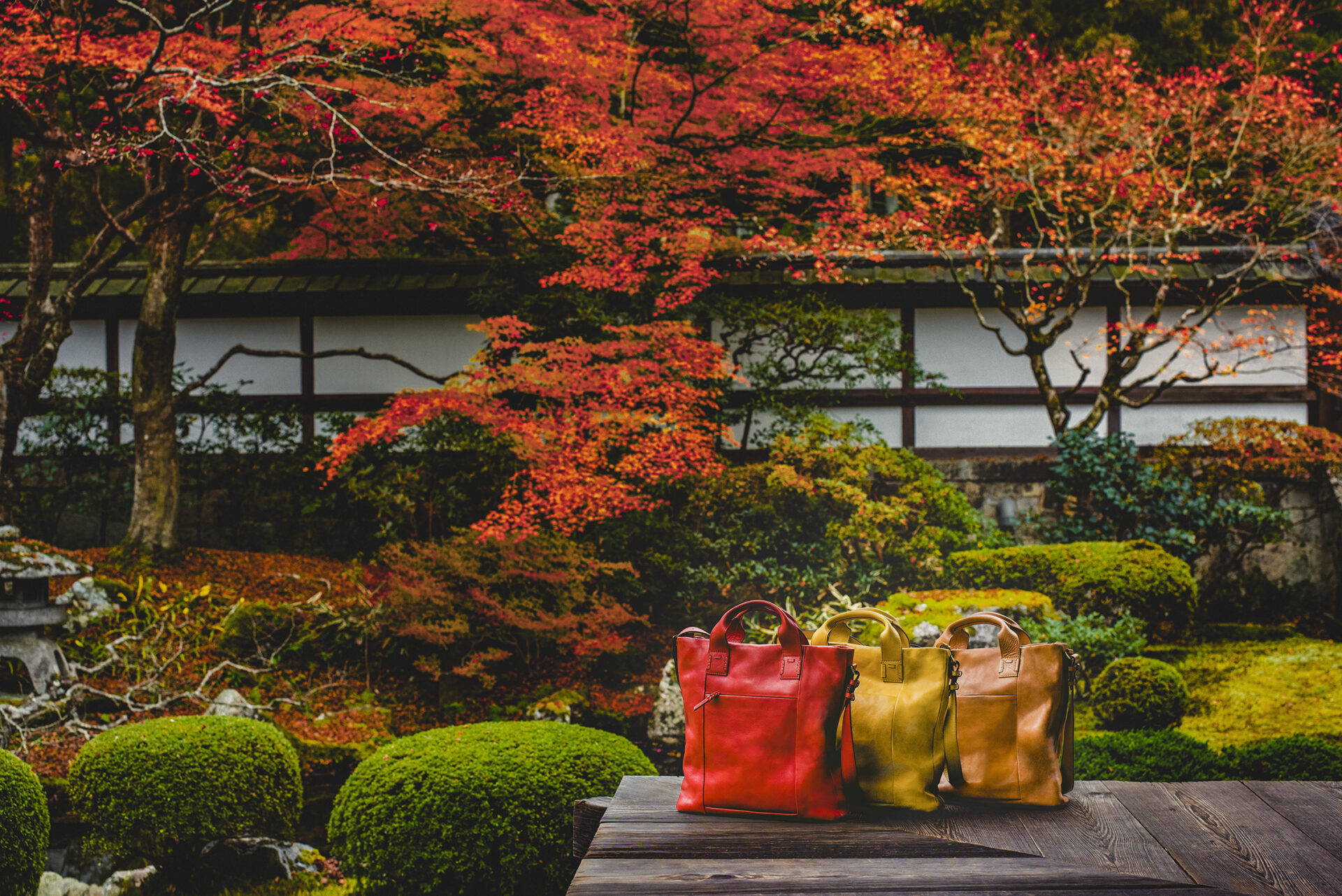 泉涌寺 紅葉 京都
