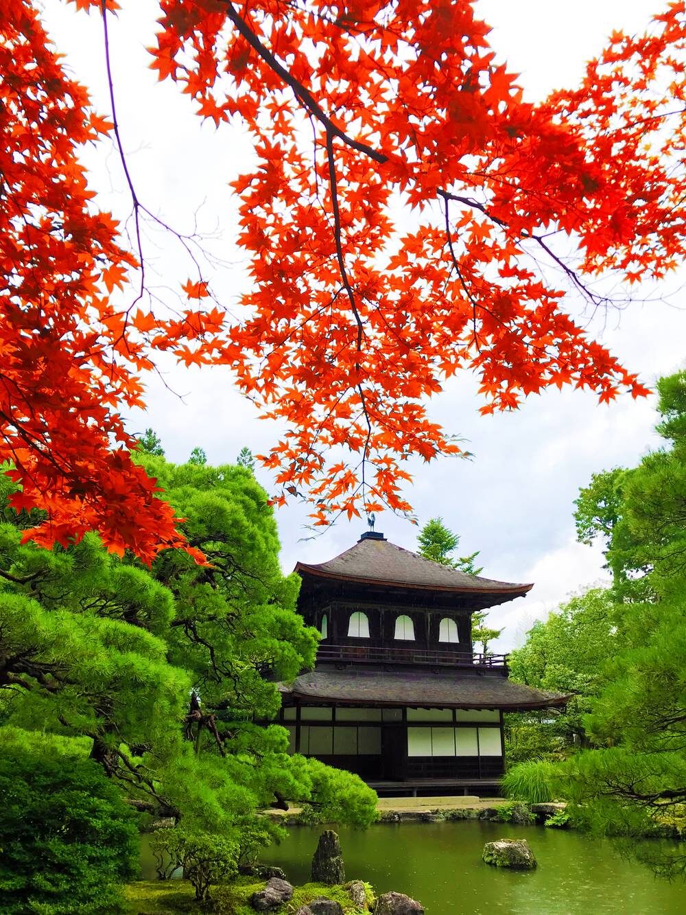 銀閣寺 紅葉 京都