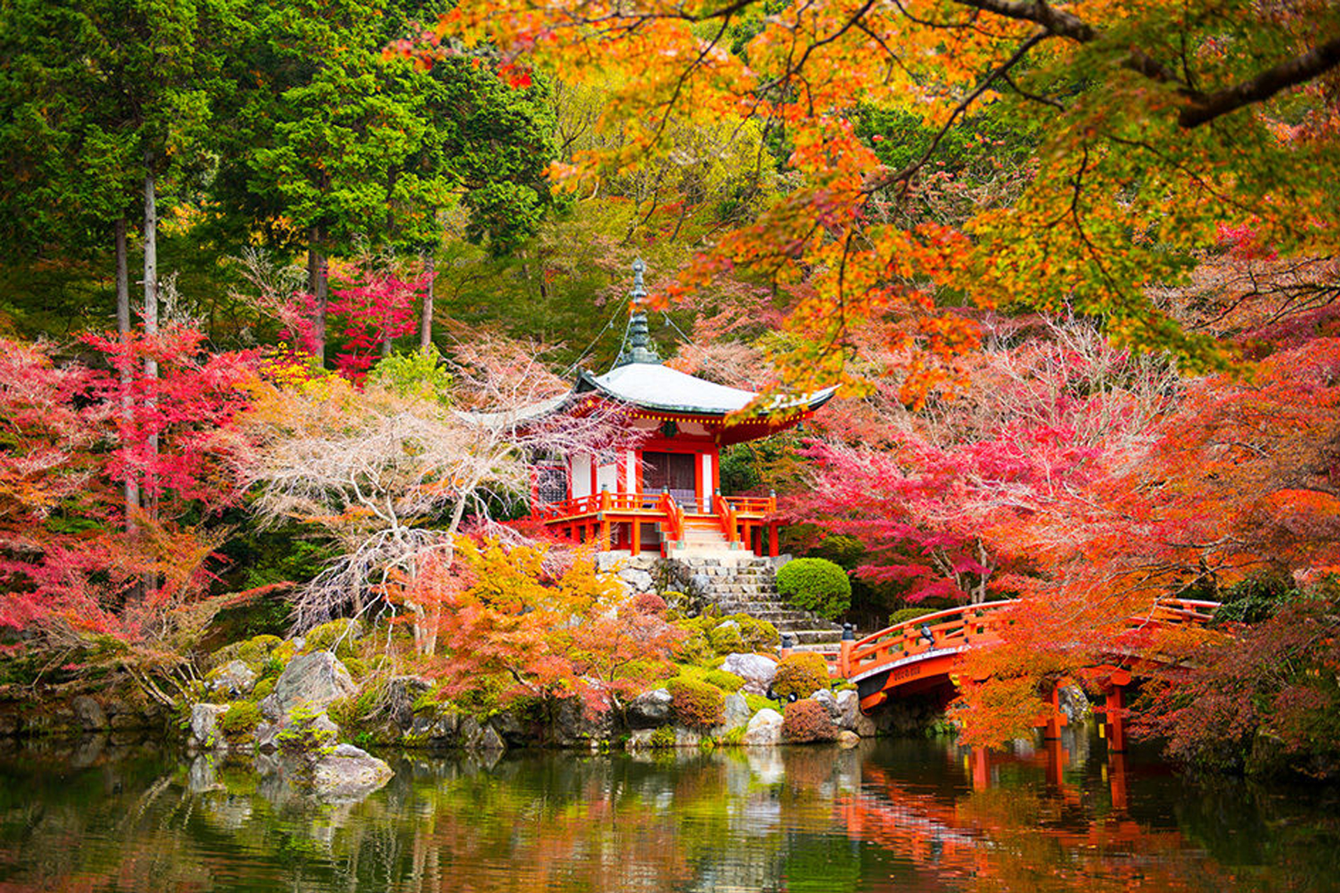 醍醐寺　京都　紅葉