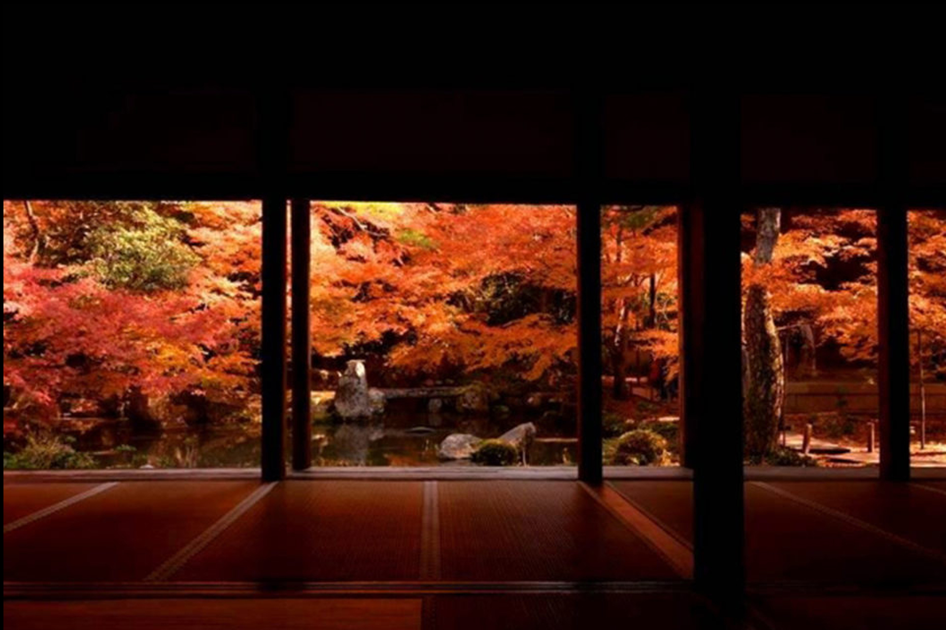 源光庵　京都　紅葉