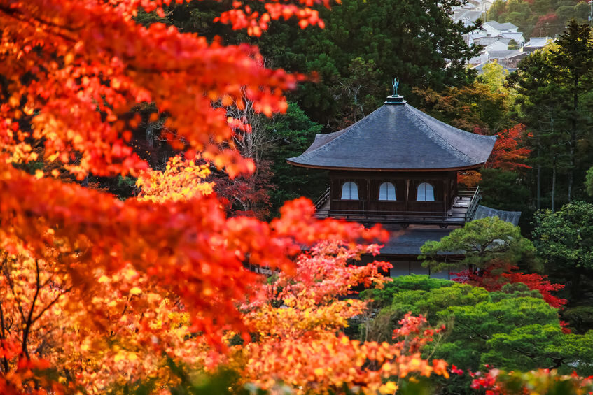 銀閣寺 紅葉 京都
