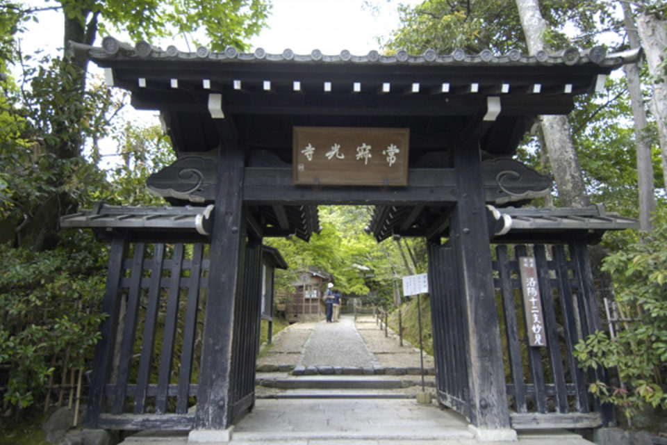 常寂光寺　紅葉　京都