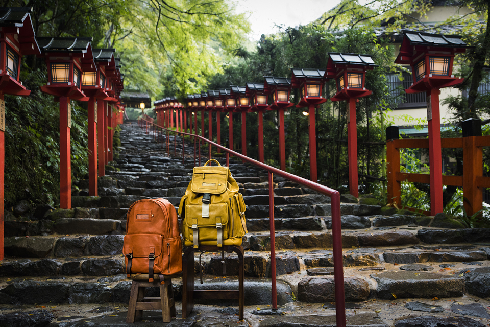 大覚寺の青紅葉