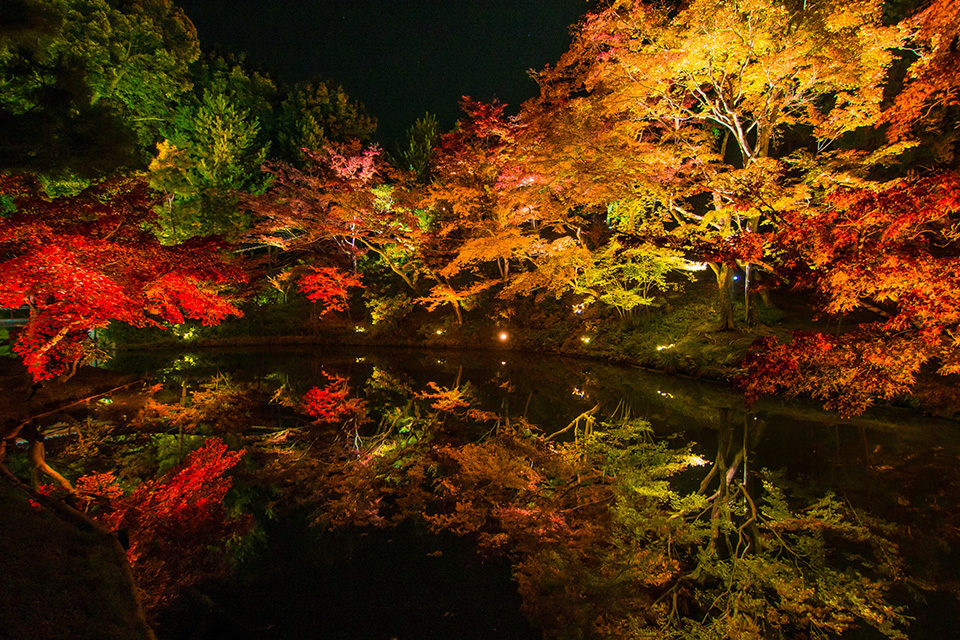 高台寺 紅葉 京都