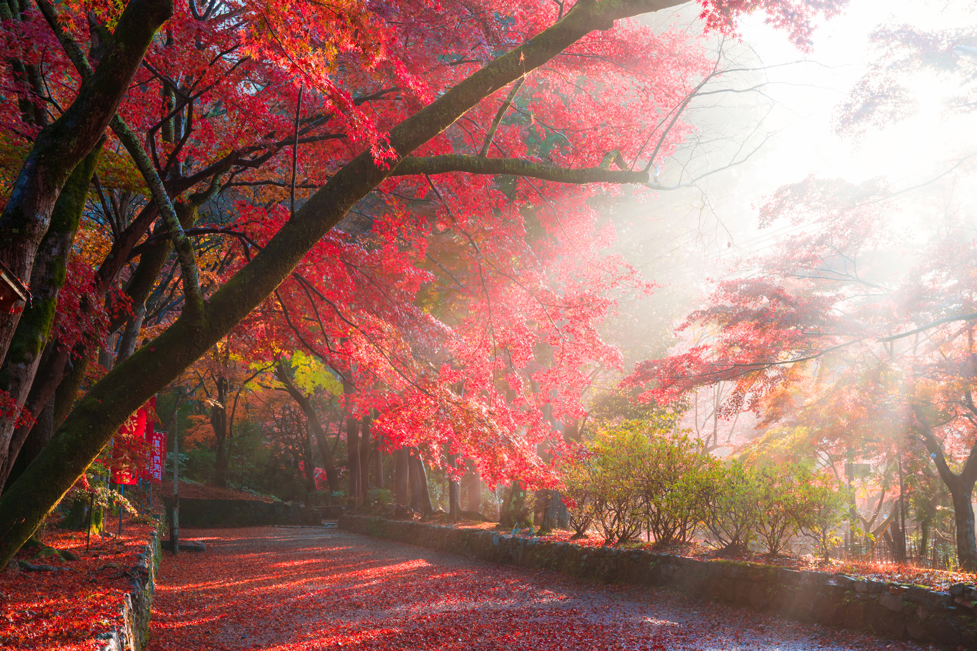 京都 毘沙門