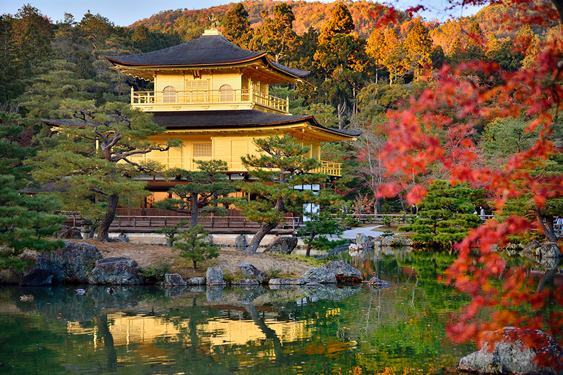 金閣寺 京都 紅葉