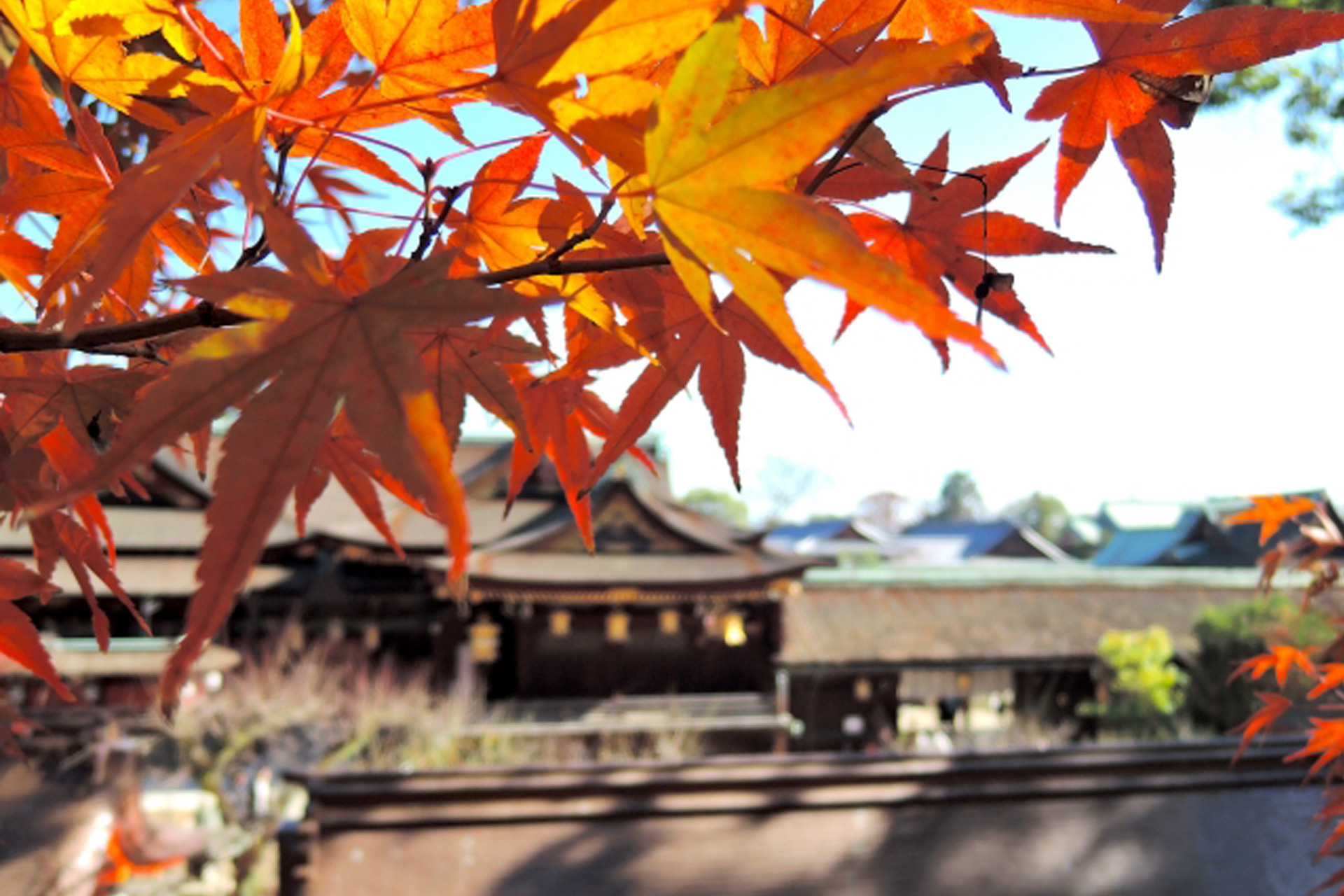 京都　北野天満宮