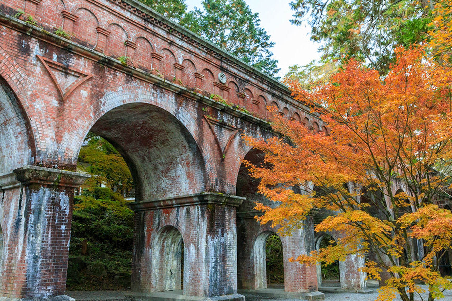 南禅寺　京都　紅葉