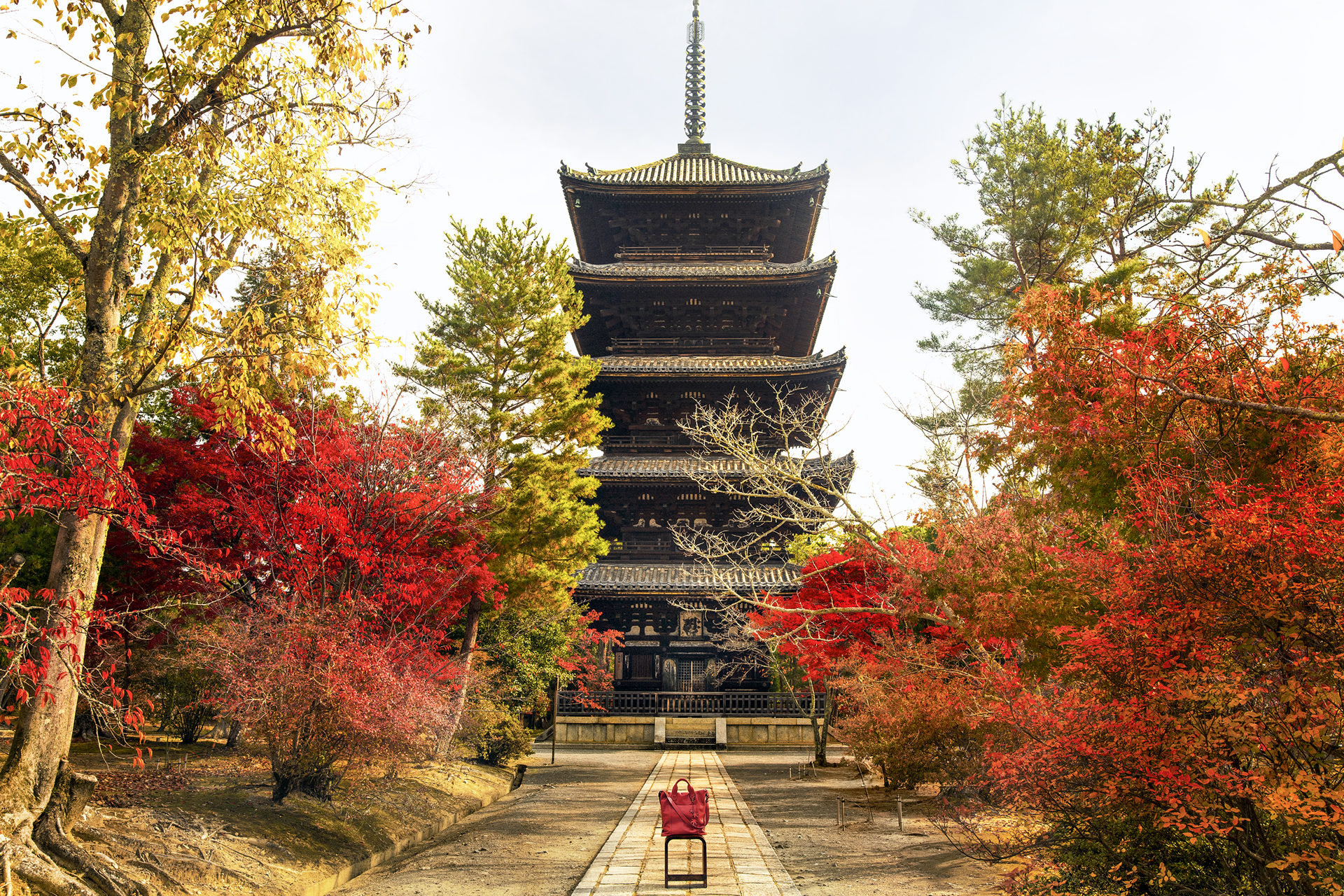 京都 仁和寺 五重塔 紅葉
