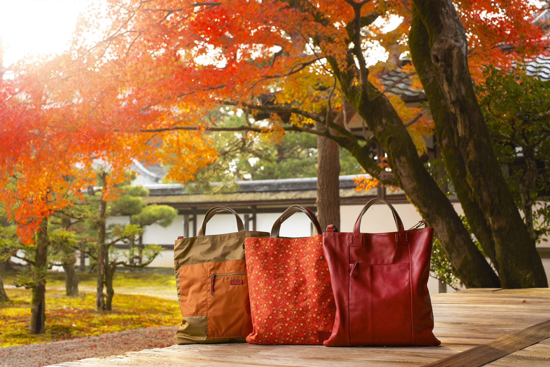 京都 仁和寺 紅葉彩る庭園