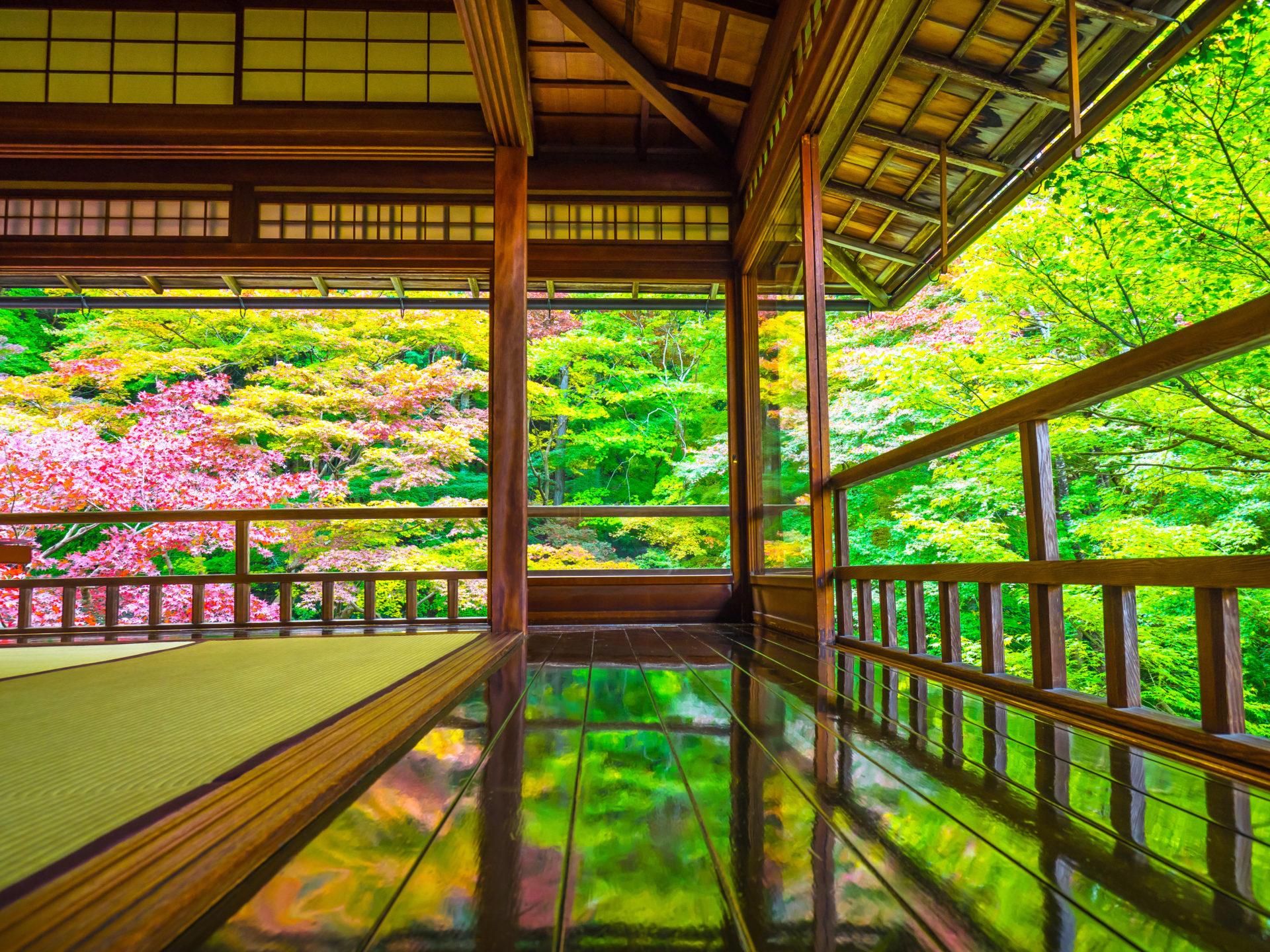 瑠璃光院