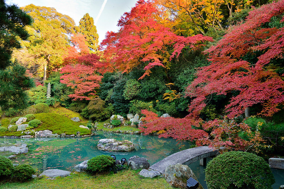 青蓮院 京都 紅葉