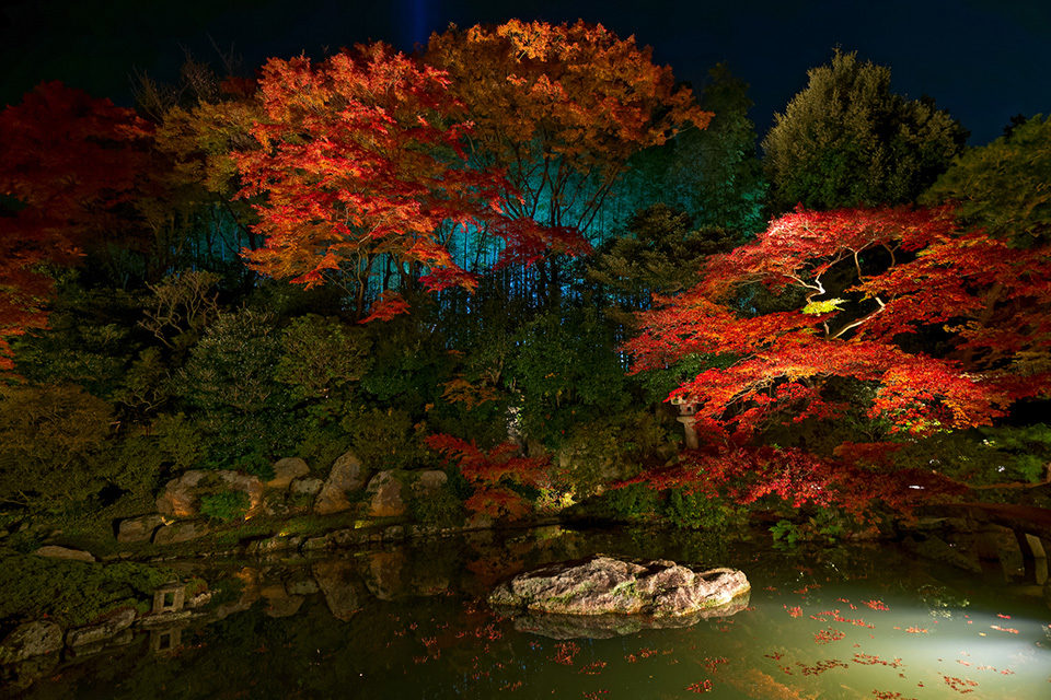 青蓮院 京都　紅葉