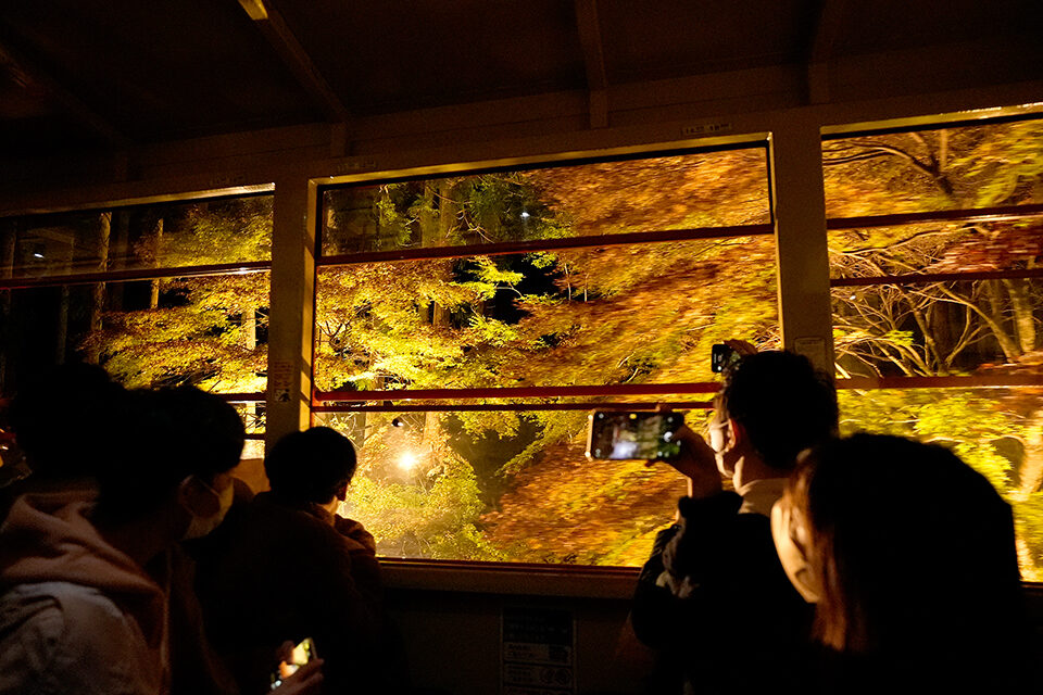 嵯峨野トロッコ列車 紅葉 ライトアップ