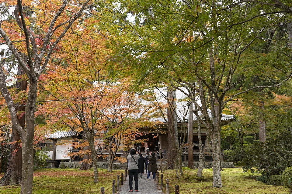 三千院　有清園　紅葉　京都