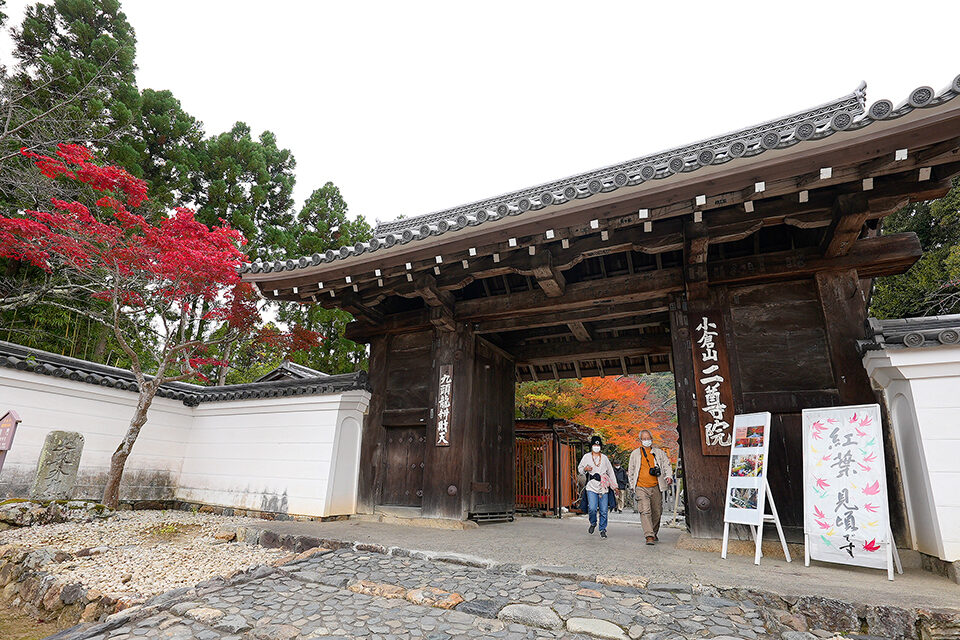 二尊院総門 紅葉 京都