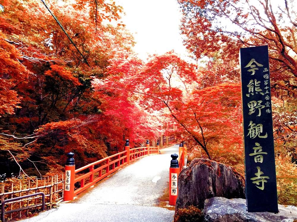 今熊野観音寺鳥居橋 紅葉